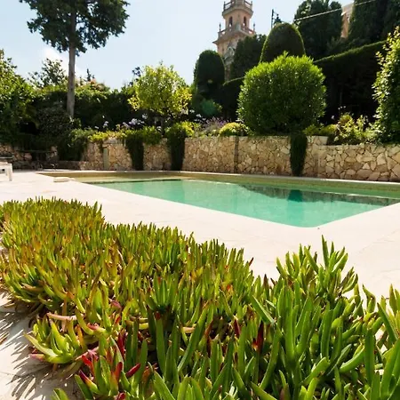 Tsavorite - Californie * Cannes