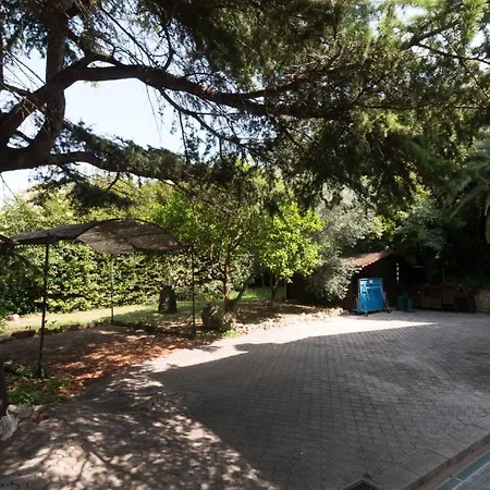 Tsavorite - Californie Villa Cannes